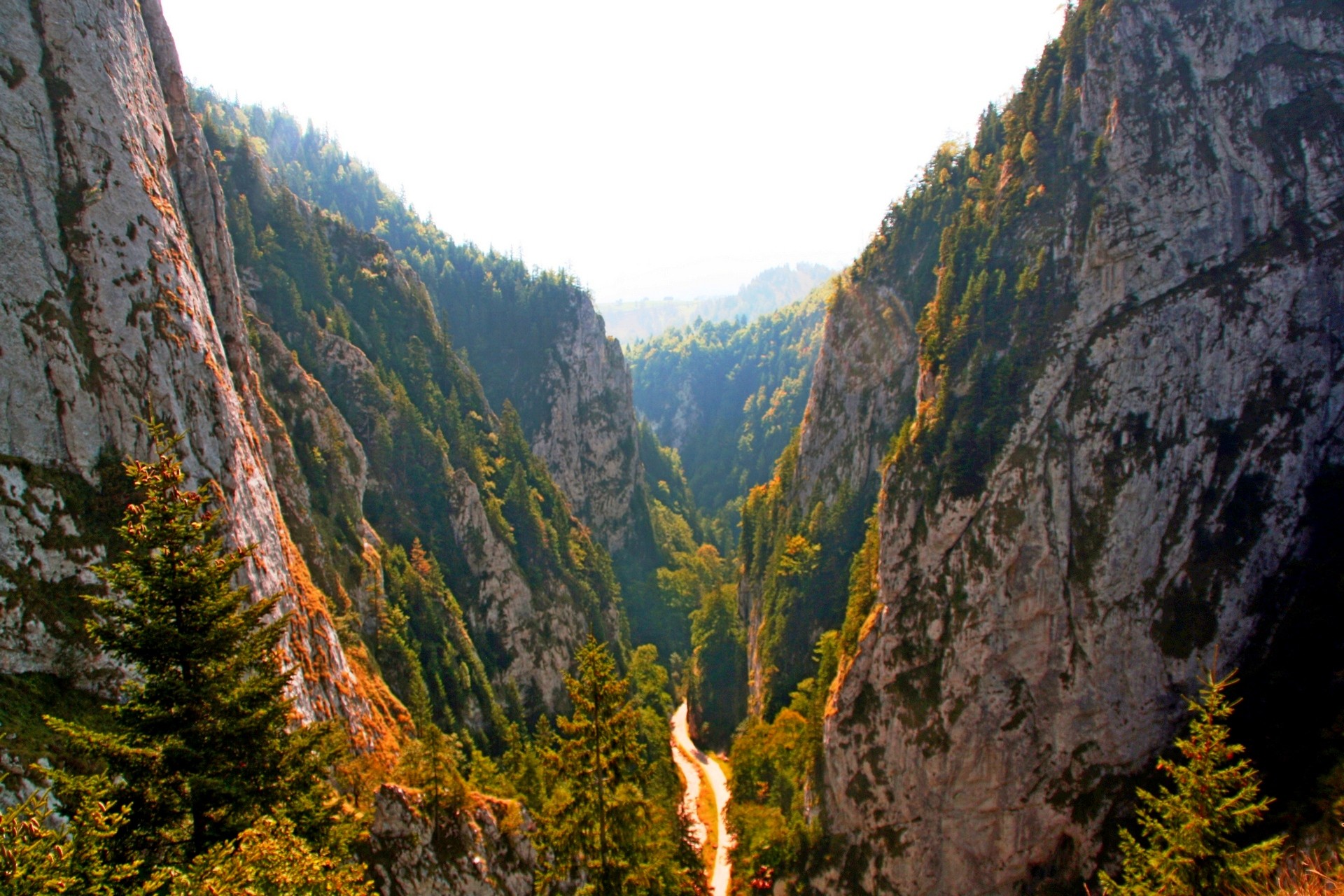 Cheile Zărnești